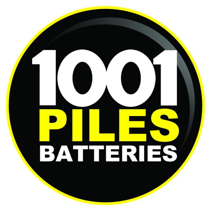 1001 Piles Batteries